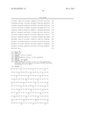 T7 RNA POLYMERASE VARIANTS WITH CYSTEINE-SERINE SUBSTITUTIONS diagram and image