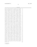 T7 RNA POLYMERASE VARIANTS WITH CYSTEINE-SERINE SUBSTITUTIONS diagram and image