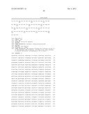 T7 RNA POLYMERASE VARIANTS WITH CYSTEINE-SERINE SUBSTITUTIONS diagram and image