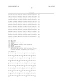 T7 RNA POLYMERASE VARIANTS WITH CYSTEINE-SERINE SUBSTITUTIONS diagram and image