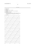 T7 RNA POLYMERASE VARIANTS WITH CYSTEINE-SERINE SUBSTITUTIONS diagram and image