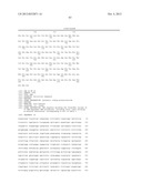 T7 RNA POLYMERASE VARIANTS WITH CYSTEINE-SERINE SUBSTITUTIONS diagram and image