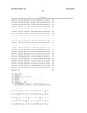 T7 RNA POLYMERASE VARIANTS WITH CYSTEINE-SERINE SUBSTITUTIONS diagram and image