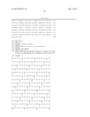 T7 RNA POLYMERASE VARIANTS WITH CYSTEINE-SERINE SUBSTITUTIONS diagram and image