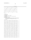 T7 RNA POLYMERASE VARIANTS WITH CYSTEINE-SERINE SUBSTITUTIONS diagram and image