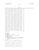 T7 RNA POLYMERASE VARIANTS WITH CYSTEINE-SERINE SUBSTITUTIONS diagram and image