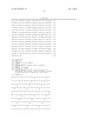 T7 RNA POLYMERASE VARIANTS WITH CYSTEINE-SERINE SUBSTITUTIONS diagram and image