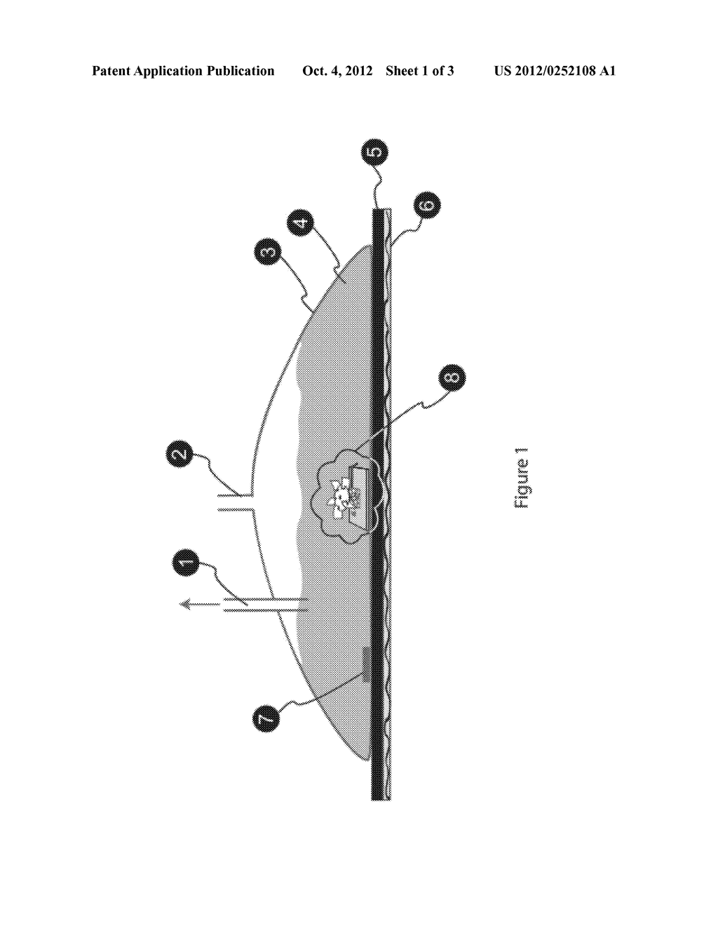 PNEUMATICALLY AGITATED AND AERATED SINGLE-USE BIOREACTOR - diagram, schematic, and image 02