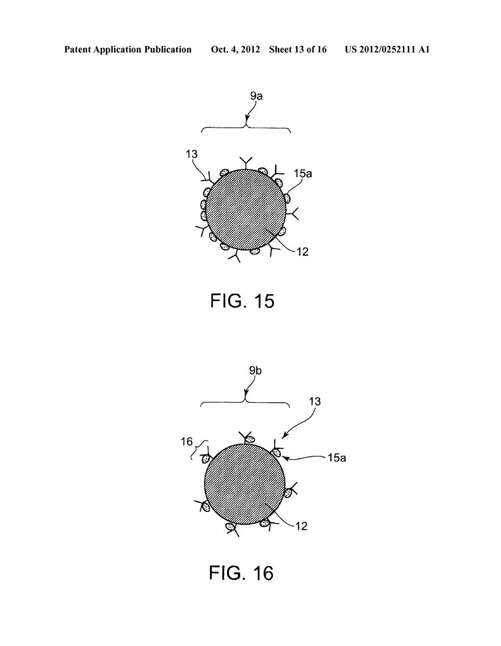 MEASURING SYSTEM USING OPTICAL WAVEGUIDE, MEASURING DEVICE, MEASURING     METHOD, OPTICAL WAVEGUIDE TYPE SENSOR CHIP, AND MAGNETIC FINE PARTICLE - diagram, schematic, and image 14