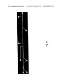 Methods and Related Devices for Continuous Sensing Utilizing Magnetic     Beads diagram and image