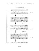 EVOLUTION OF WHOLE CELLS AND ORGANISMS BY RECURSIVE SEQUENCE RECOMBINATION diagram and image