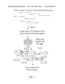 EVOLUTION OF WHOLE CELLS AND ORGANISMS BY RECURSIVE SEQUENCE RECOMBINATION diagram and image