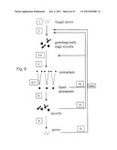 EVOLUTION OF WHOLE CELLS AND ORGANISMS BY RECURSIVE SEQUENCE RECOMBINATION diagram and image