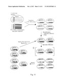 EVOLUTION OF WHOLE CELLS AND ORGANISMS BY RECURSIVE SEQUENCE RECOMBINATION diagram and image