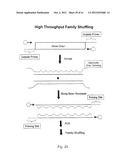 EVOLUTION OF WHOLE CELLS AND ORGANISMS BY RECURSIVE SEQUENCE RECOMBINATION diagram and image