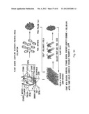 EVOLUTION OF WHOLE CELLS AND ORGANISMS BY RECURSIVE SEQUENCE RECOMBINATION diagram and image