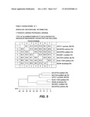 METHODS OF POPULATING DATA STRUCTURES FOR USE IN EVOLUTIONARY SIMULATIONS diagram and image