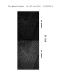 SEQUENTIAL ANALYSIS OF BIOLOGICAL SAMPLES diagram and image