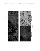 SEQUENTIAL ANALYSIS OF BIOLOGICAL SAMPLES diagram and image