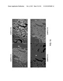 SEQUENTIAL ANALYSIS OF BIOLOGICAL SAMPLES diagram and image