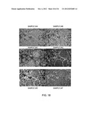 SEQUENTIAL ANALYSIS OF BIOLOGICAL SAMPLES diagram and image