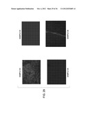 SEQUENTIAL ANALYSIS OF BIOLOGICAL SAMPLES diagram and image