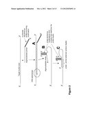 METHODS AND COMPOSITIONS FOR DETECTION OF NUCLEIC ACIDS BASED ON     STABILIZED OLIGONUCLEOTIDE PROBE COMPLEXES diagram and image