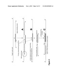 METHODS AND COMPOSITIONS FOR DETECTION OF NUCLEIC ACIDS BASED ON     STABILIZED OLIGONUCLEOTIDE PROBE COMPLEXES diagram and image