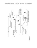 METHODS AND COMPOSITIONS FOR DETECTION OF NUCLEIC ACIDS BASED ON     STABILIZED OLIGONUCLEOTIDE PROBE COMPLEXES diagram and image