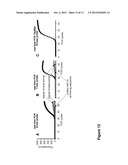 METHODS AND COMPOSITIONS FOR DETECTION OF NUCLEIC ACIDS BASED ON     STABILIZED OLIGONUCLEOTIDE PROBE COMPLEXES diagram and image