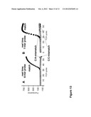 METHODS AND COMPOSITIONS FOR DETECTION OF NUCLEIC ACIDS BASED ON     STABILIZED OLIGONUCLEOTIDE PROBE COMPLEXES diagram and image