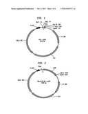 CONJUGATES OF BIOLOGICALLY ACTIVE PROTEINS HAVING A MODIFIED IN VIVO     HALF-LIFE diagram and image