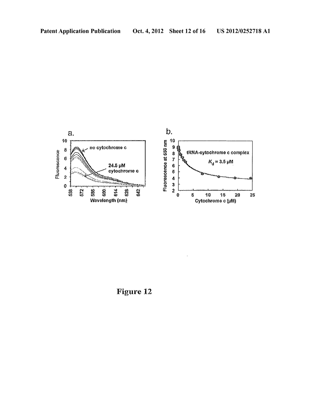 Compositions and Methods for Regulating Cytochrome c-Mediated Apoptosis by     tRNA - diagram, schematic, and image 13