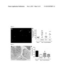 ARBOVIRUS INHIBITORS AND USES THEREOF diagram and image