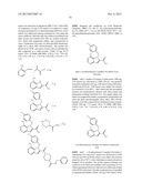 ARBOVIRUS INHIBITORS AND USES THEREOF diagram and image