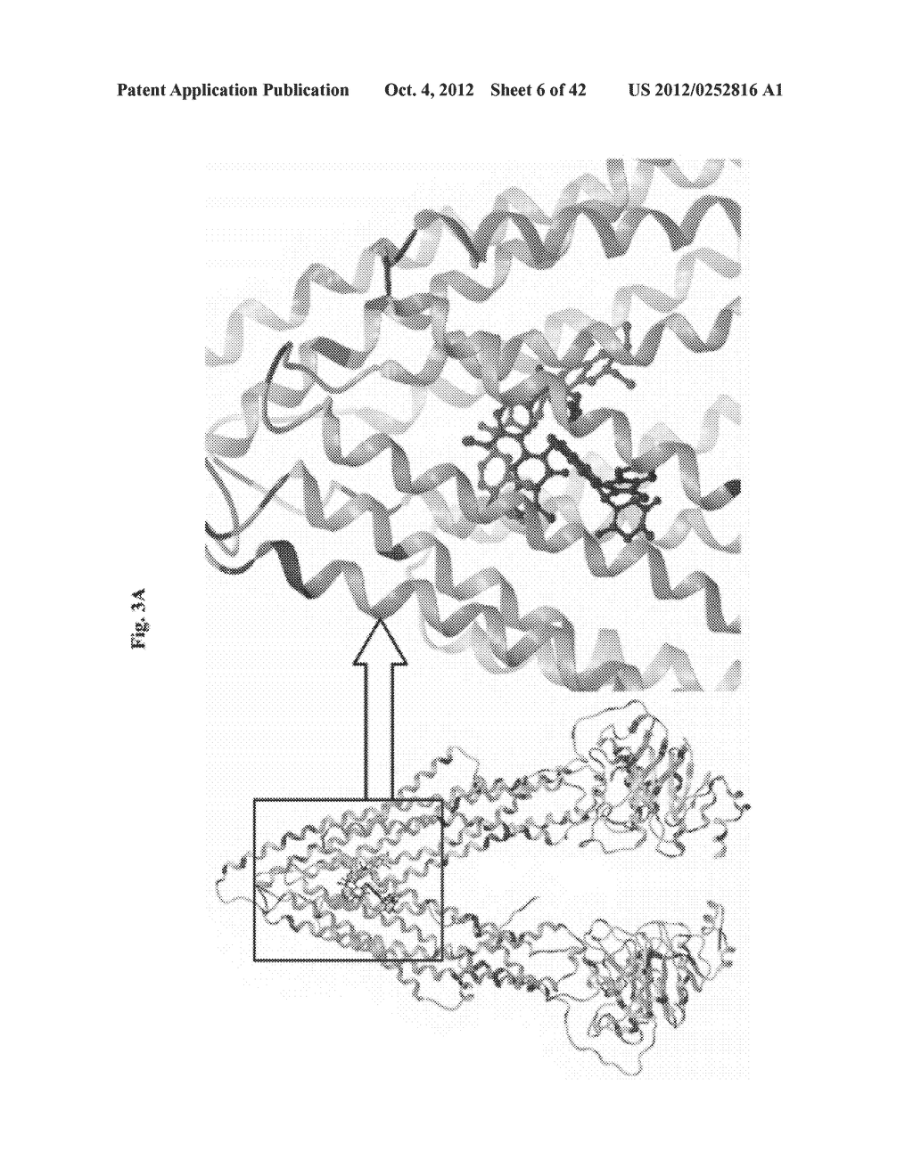 USE OF PHOSPHODIESTERASE INHIBITORS FOR TREATING MULTIDRUG RESISTANCE - diagram, schematic, and image 07