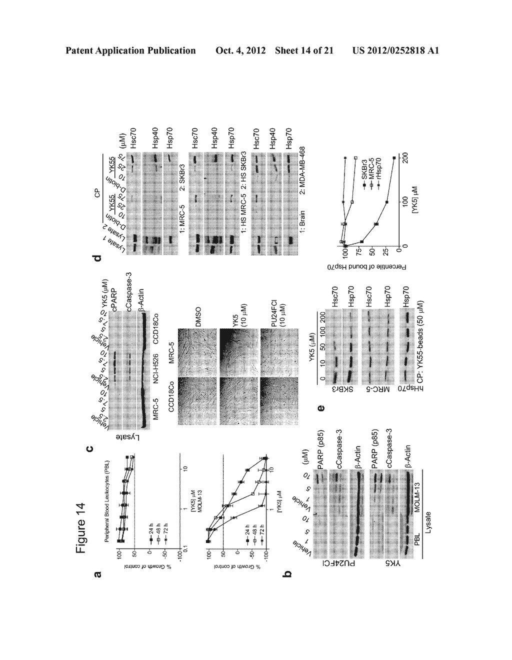 HEAT SHOCK PROTEIN BINDING COMPOUNDS, COMPOSITIONS, AND METHODS FOR MAKING     AND USING SAME - diagram, schematic, and image 15