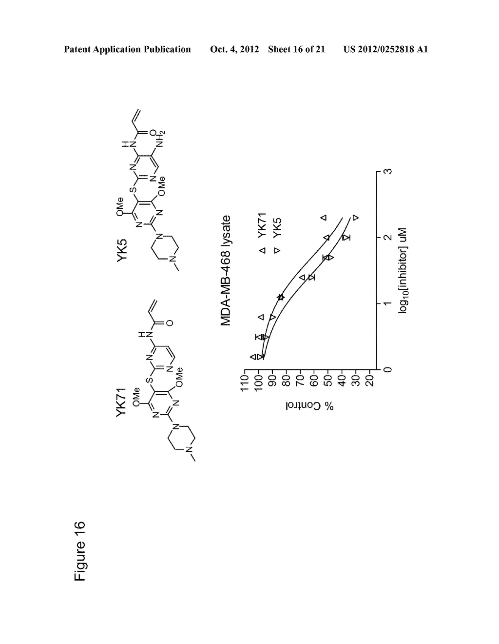 HEAT SHOCK PROTEIN BINDING COMPOUNDS, COMPOSITIONS, AND METHODS FOR MAKING     AND USING SAME - diagram, schematic, and image 17