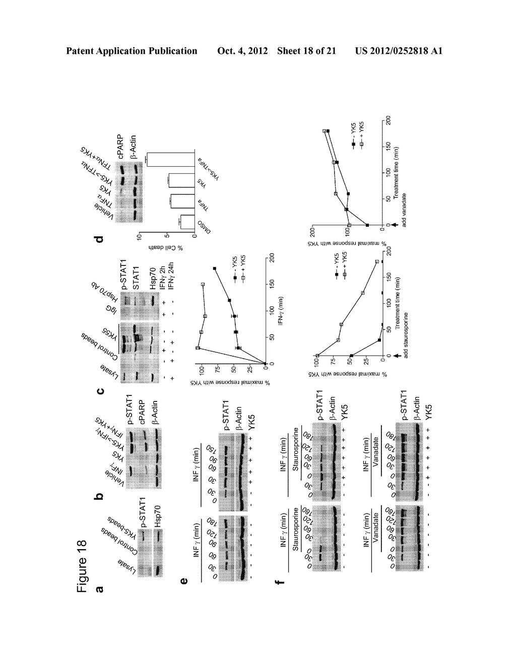 HEAT SHOCK PROTEIN BINDING COMPOUNDS, COMPOSITIONS, AND METHODS FOR MAKING     AND USING SAME - diagram, schematic, and image 19