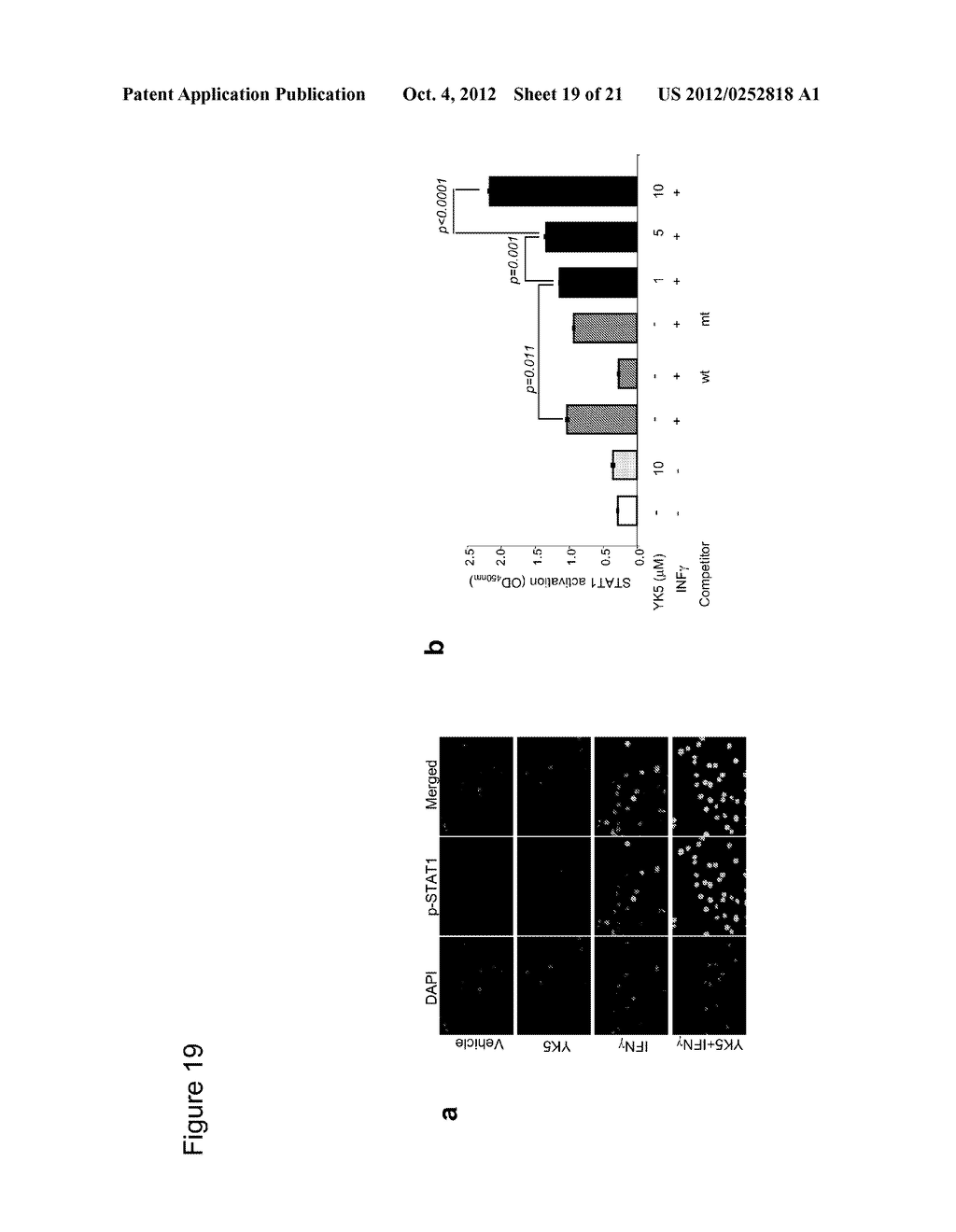 HEAT SHOCK PROTEIN BINDING COMPOUNDS, COMPOSITIONS, AND METHODS FOR MAKING     AND USING SAME - diagram, schematic, and image 20