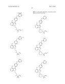 INHIBITORS OF BRUTON S TYROSINE KINASE diagram and image