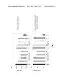 INHIBITORS OF BRUTON S TYROSINE KINASE diagram and image