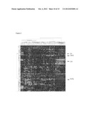 PI3K/AKT PATHWAY SUBGROUPS IN CANCER: METHODS OF USING BIOMARKERS FOR     DIAGNOSIS AND THERAPY diagram and image