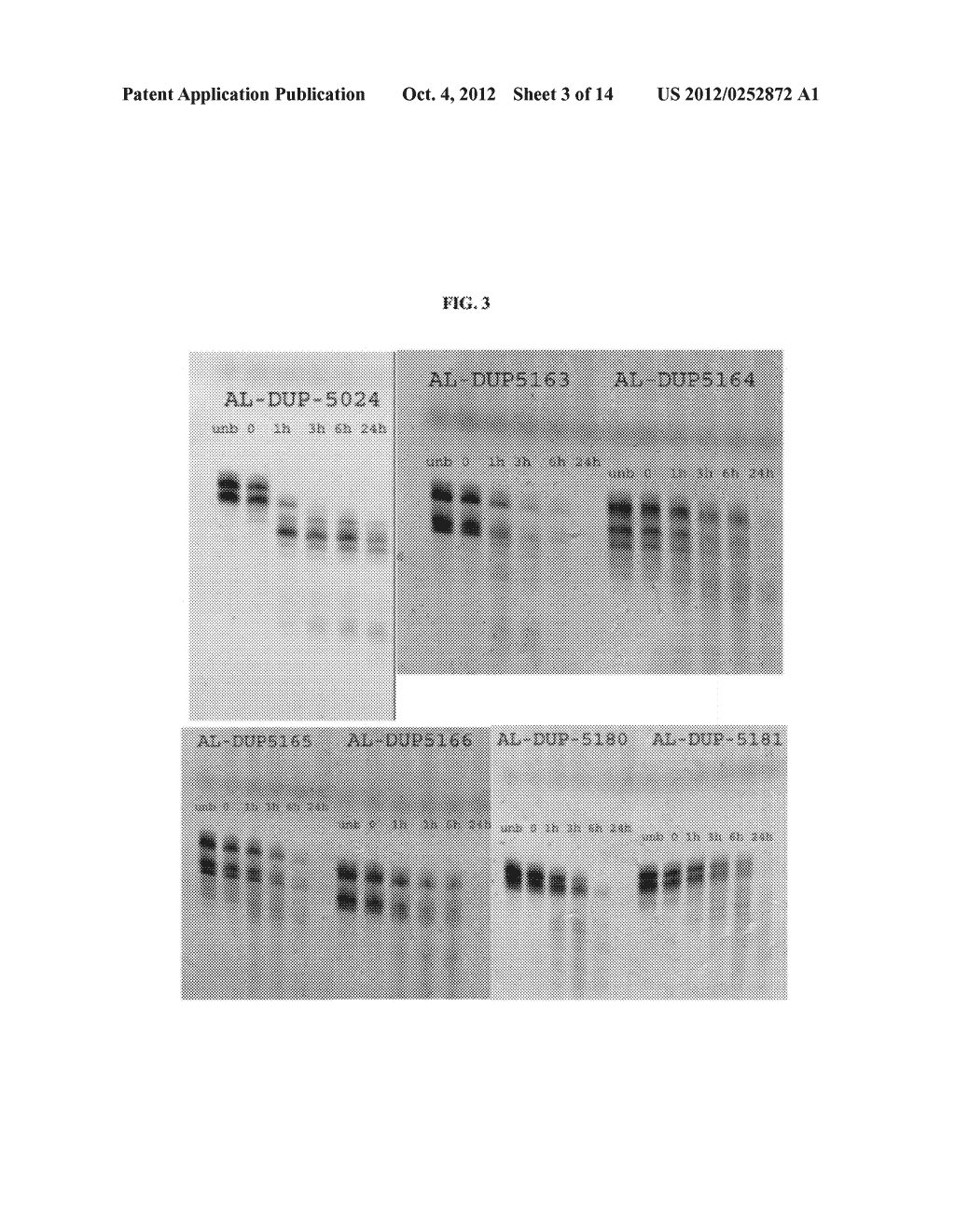 RNAi Modulation of APOB and Uses Thereof - diagram, schematic, and image 04