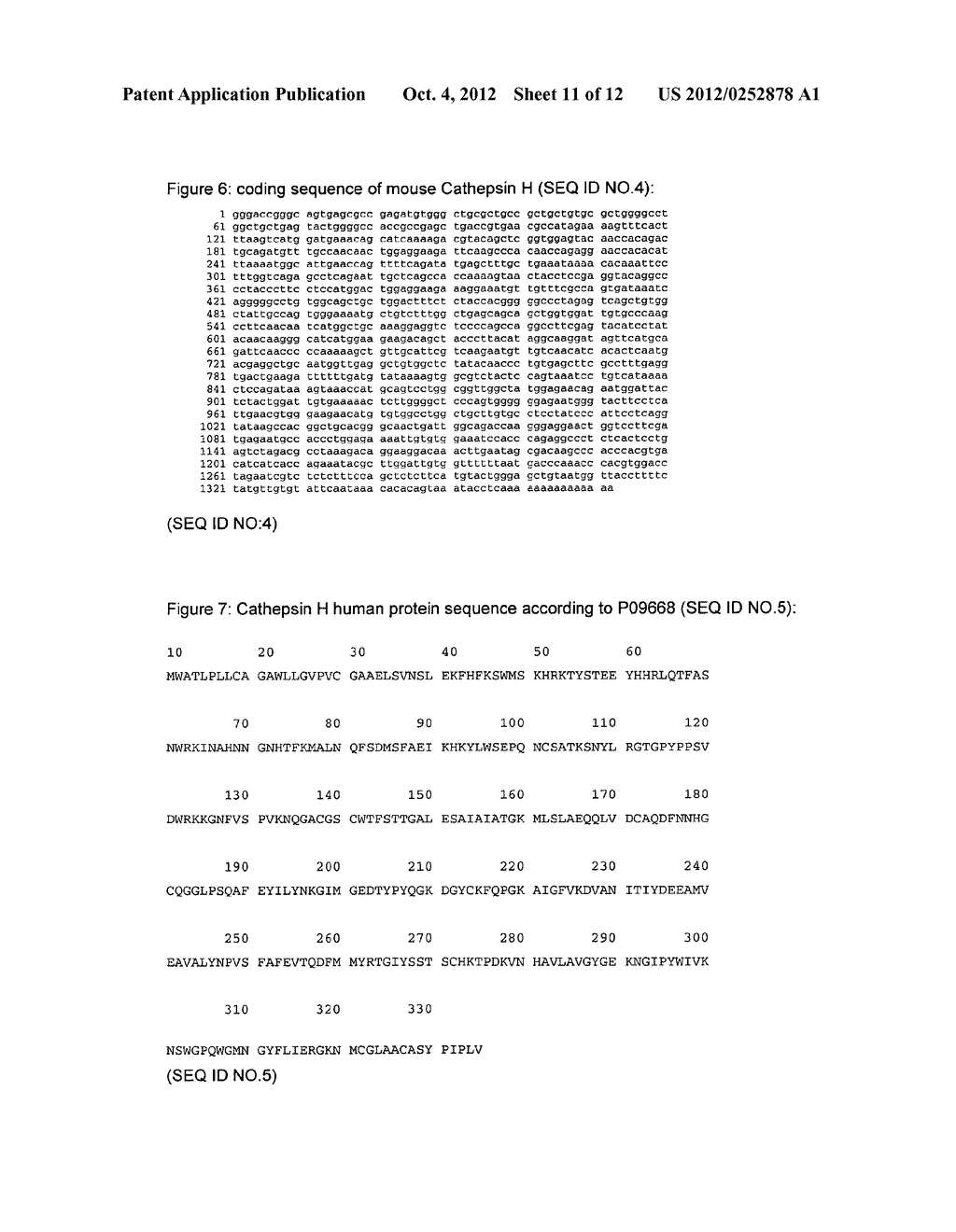 USE OF CATHEPSIN H - diagram, schematic, and image 12