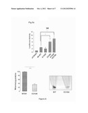 MITF AS A MARKER FOR PREDISPOSITION TO CANCER diagram and image