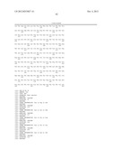 DETECTION OF MUTATIONS IN A GENE ASSOCIATED WTIH RESISTANCE TO VIRAL     INFECTION, OAS1 diagram and image