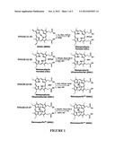 METHODS FOR SYNTHESIZING METAL MESOPORPHYRINS diagram and image