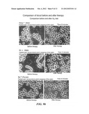 HANDHELD CELL EXCITATION TERMINAL CAPABLE OF DYNAMIC OPTIMIZATION OF     THERAPEUTIC EFFECT AND REMOTE THERAPEUTIC SYSTEM diagram and image