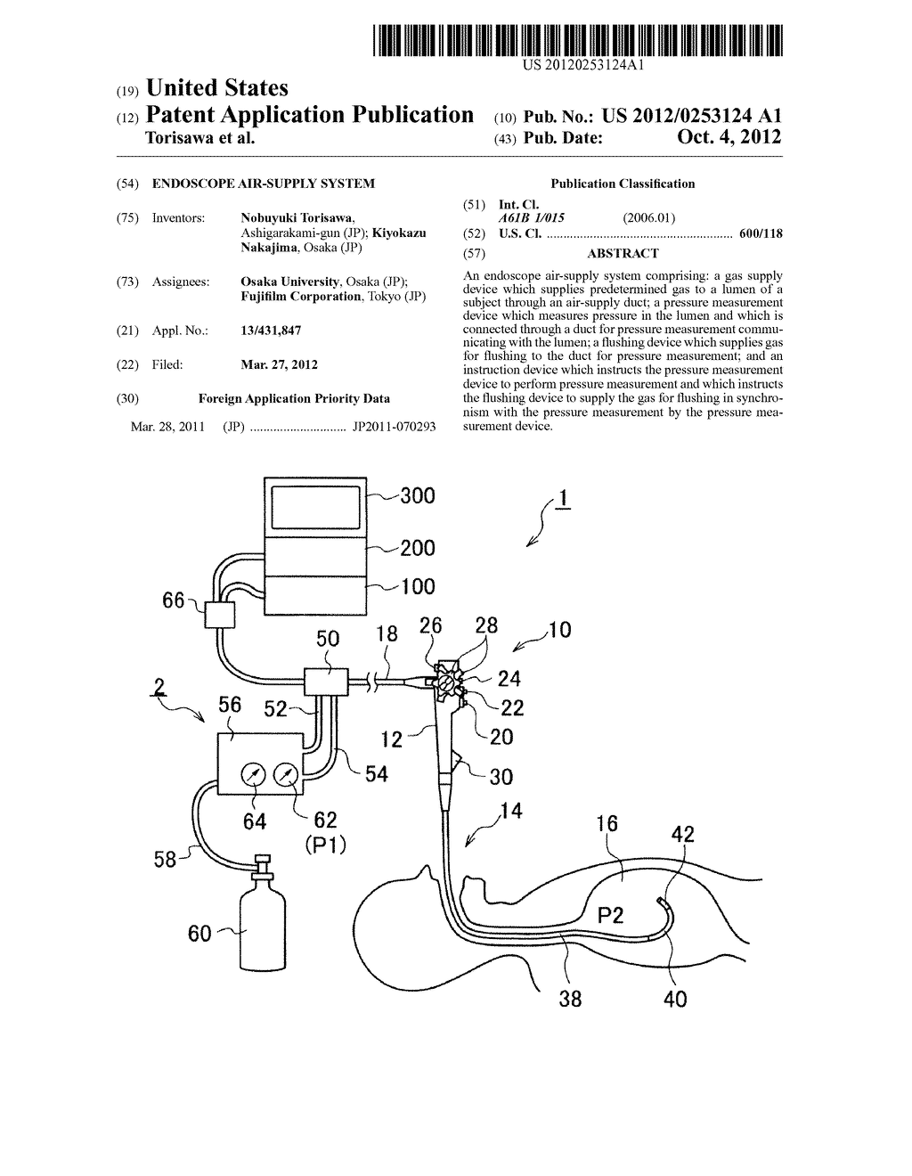 ENDOSCOPE AIR-SUPPLY SYSTEM - diagram, schematic, and image 01